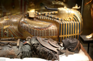 King Tut Treasures of the Golden Pharaoh