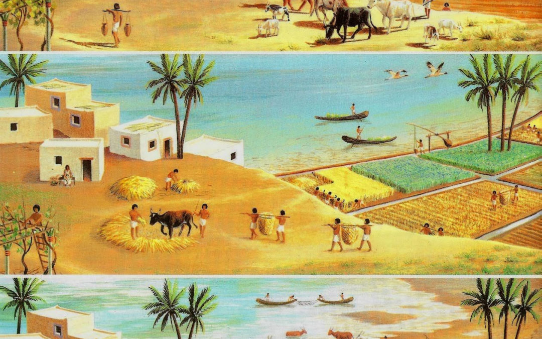 Egyptian Farming Calendar - Edith Gwenore