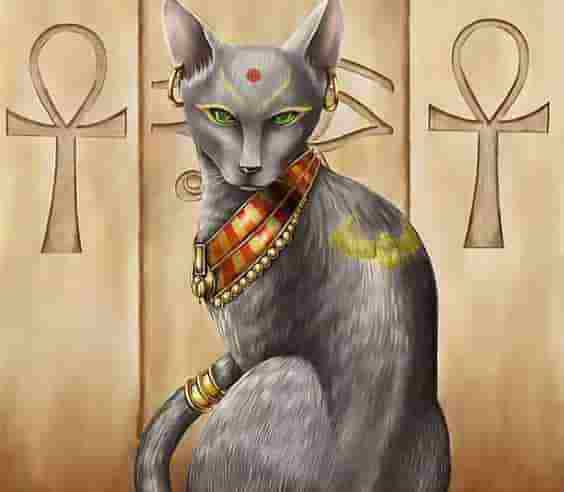 12 Amazing facts about cats in ancient Egypt