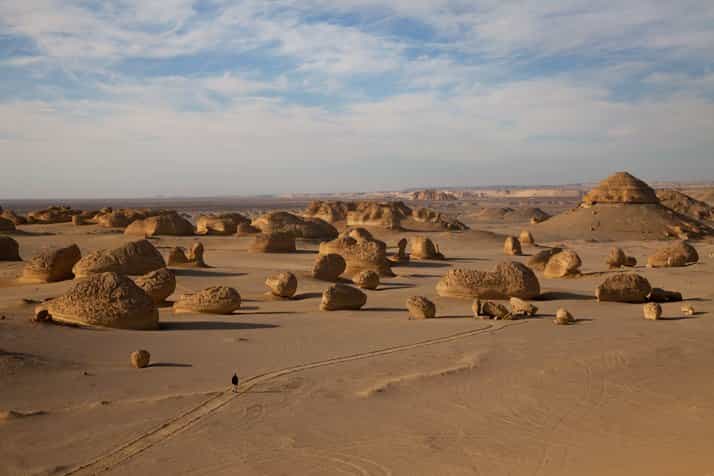 Wadi Al-Hitan (Valley of the Whales), the desert where the whales swam