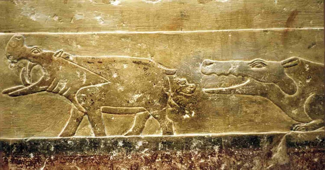 Crocodiles in ancient Egypt: Feared and revered