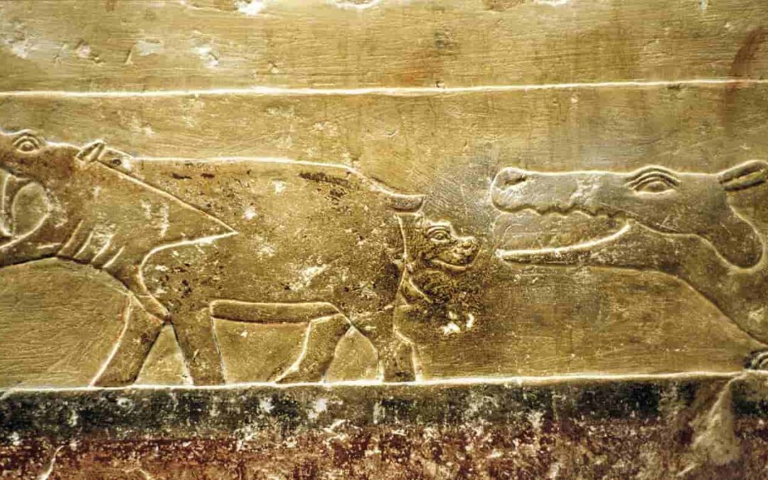 Crocodiles in ancient Egypt: Feared and revered