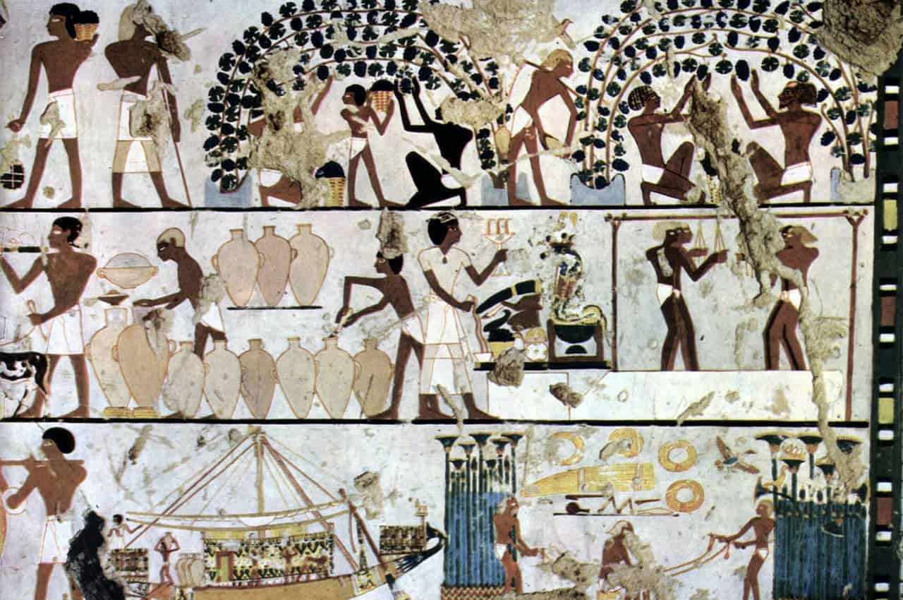 How Ancient Egyptians Invented Wine Labels