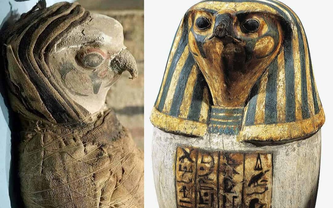 Sacred birds of ancient Egypt