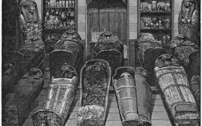 The royal mummies of the cache of Deir el-Bahari