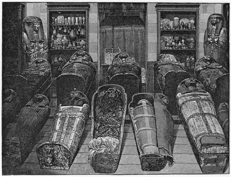 The royal mummies of the cache of Deir el-Bahari