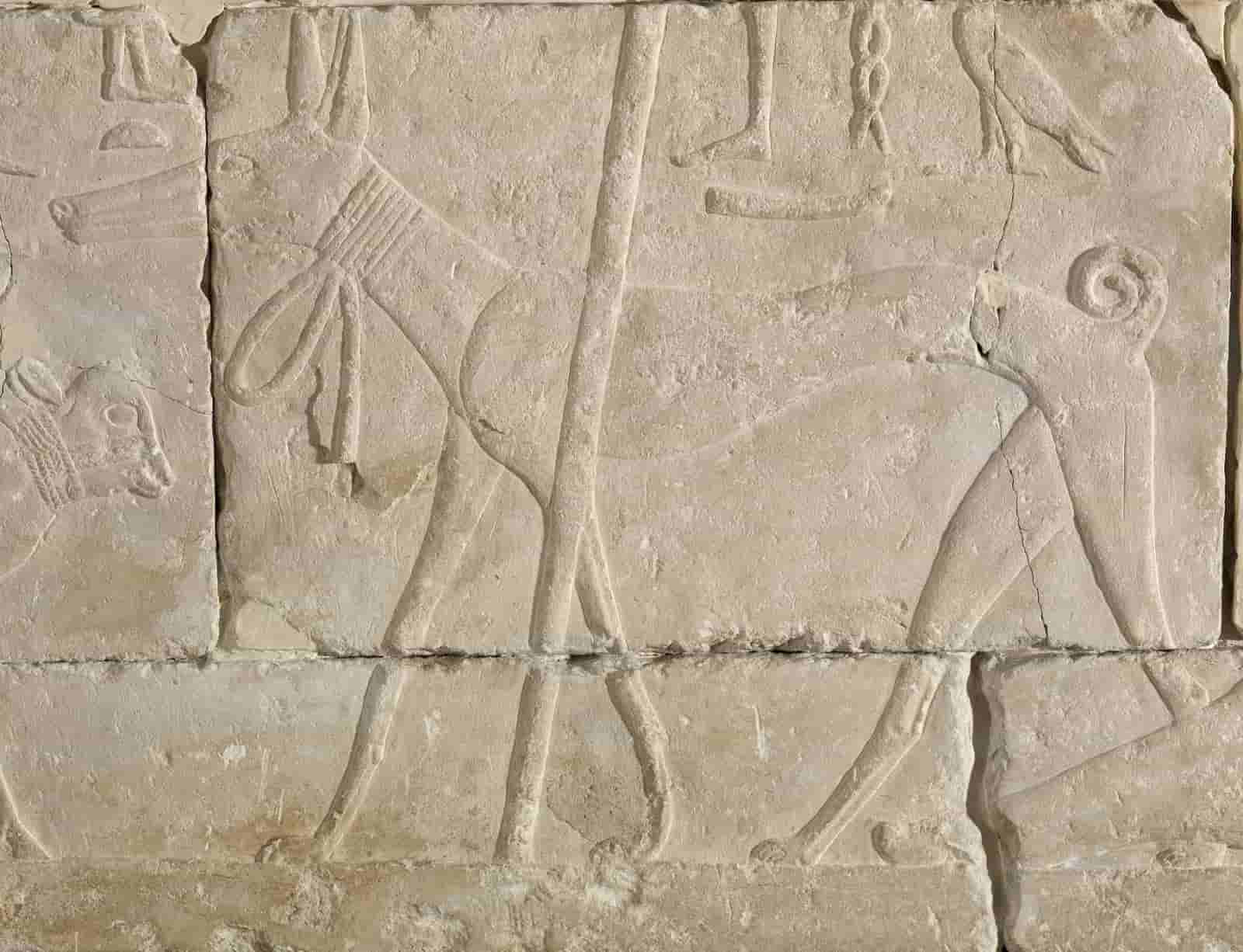 Dogs in Ancient Egypt