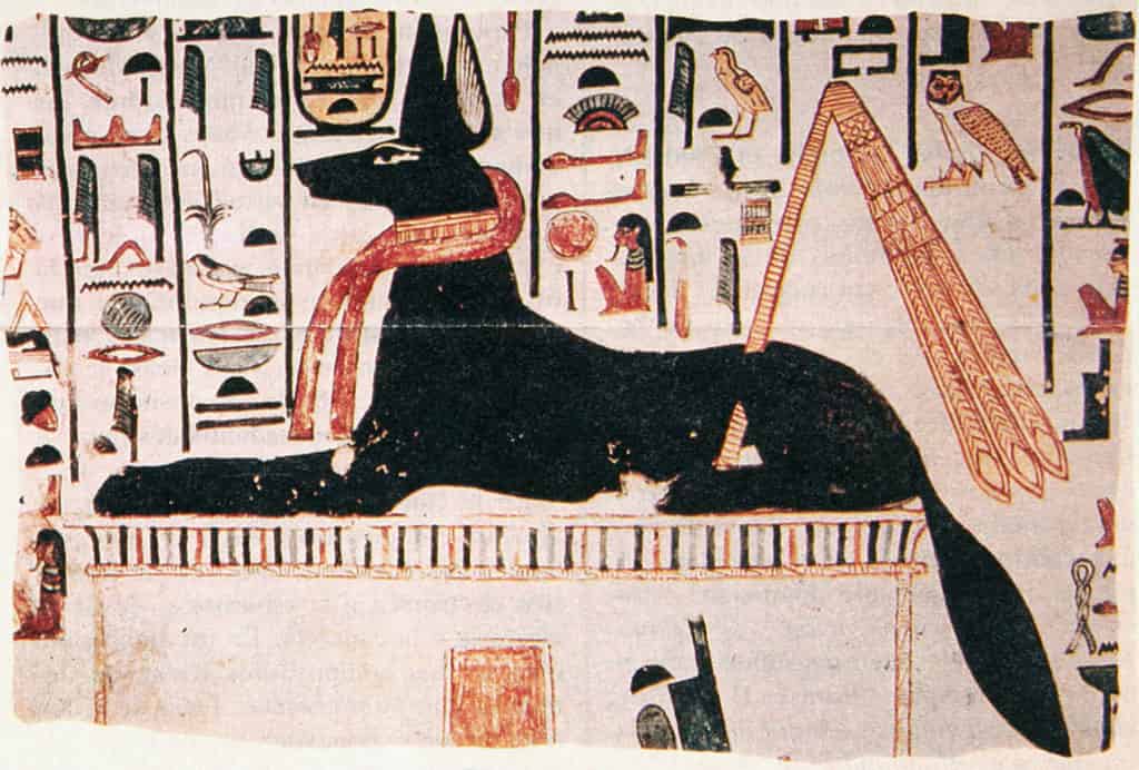 Dogs in Ancient Egypt