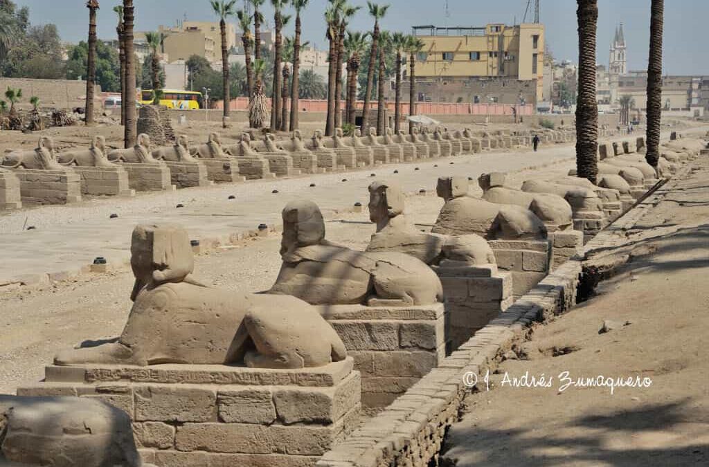 What was the purpose of the sphinxes in ancient Egypt?