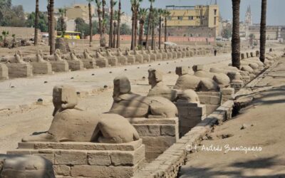 What was the purpose of the sphinxes in ancient Egypt?