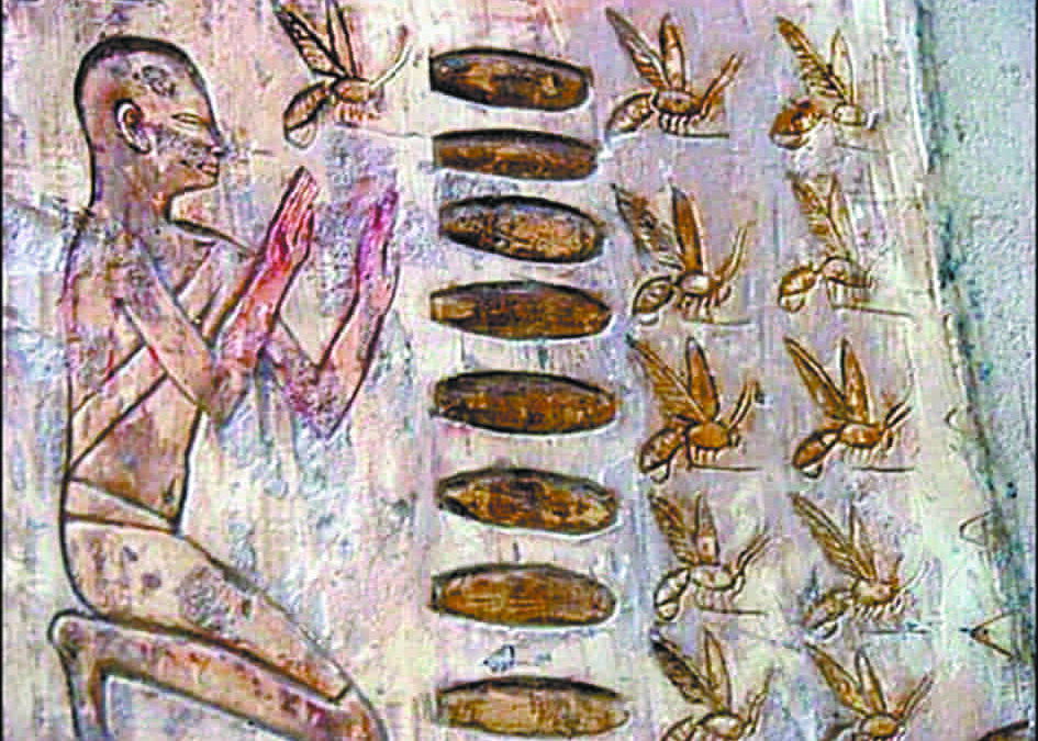 Bees and Honey in Ancient Egypt: Symbolism and Significance