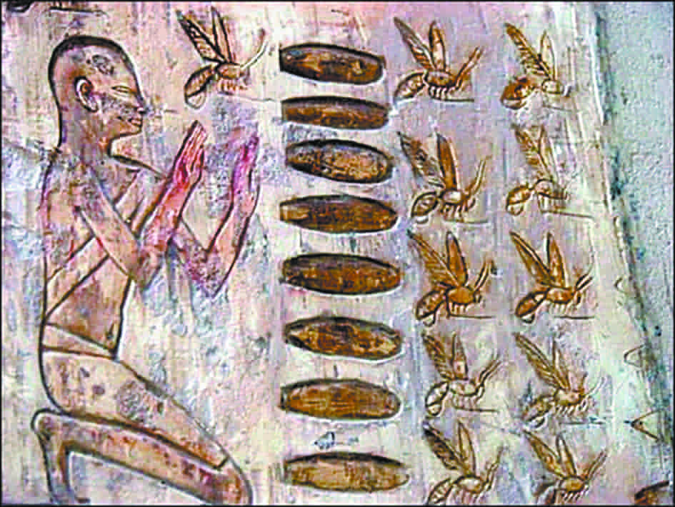 Bees and Honey in Ancient Egypt: Symbolism and Significance