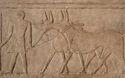 Beloved Pets of Ancient Egyptians: Dogs, Cats, Monkeys, and More
