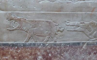 Hippopotami in Ancient Egyptian Culture: Symbolism, Hunting, and Mythology