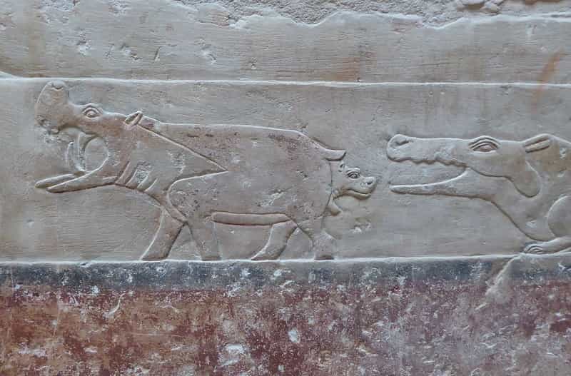 Hippopotami in Ancient Egyptian Culture: Symbolism, Hunting, and Mythology